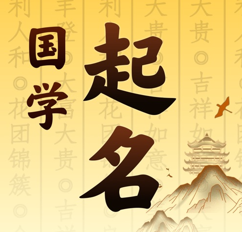 临颍国学起名 人工起名一对一